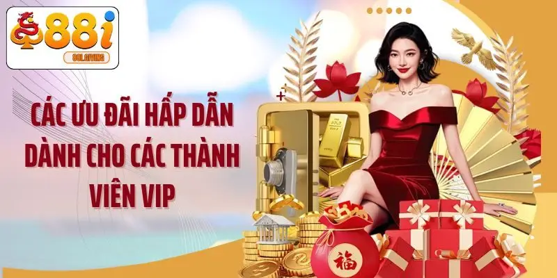 Các ưu đãi hấp dẫn dành cho các thành viên VIP