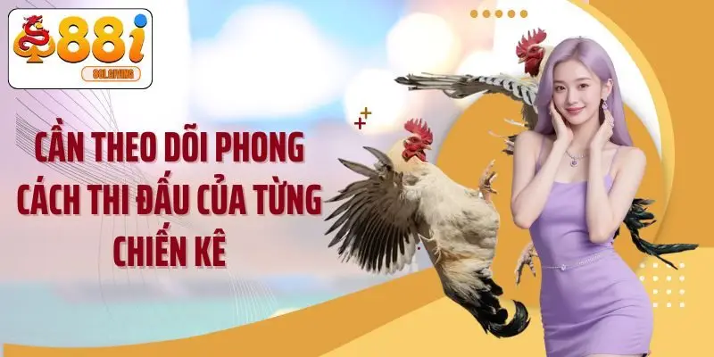 Cần theo dõi phong cách thi đấu của từng chiến kê