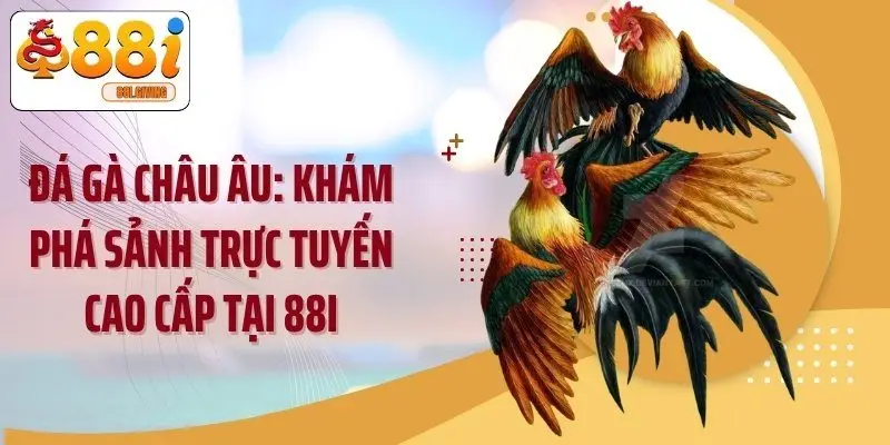 Đá Gà Châu Âu: Khám Phá Sảnh Trực Tuyến Cao Cấp Tại 88i