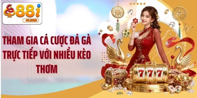 Tham gia cá cược đá gà trực tiếp với nhiều kèo thơm